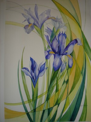 Kay's unique style of painting lends itself to all manner of subjects, but works especially well with jewel like florals such as this iris.